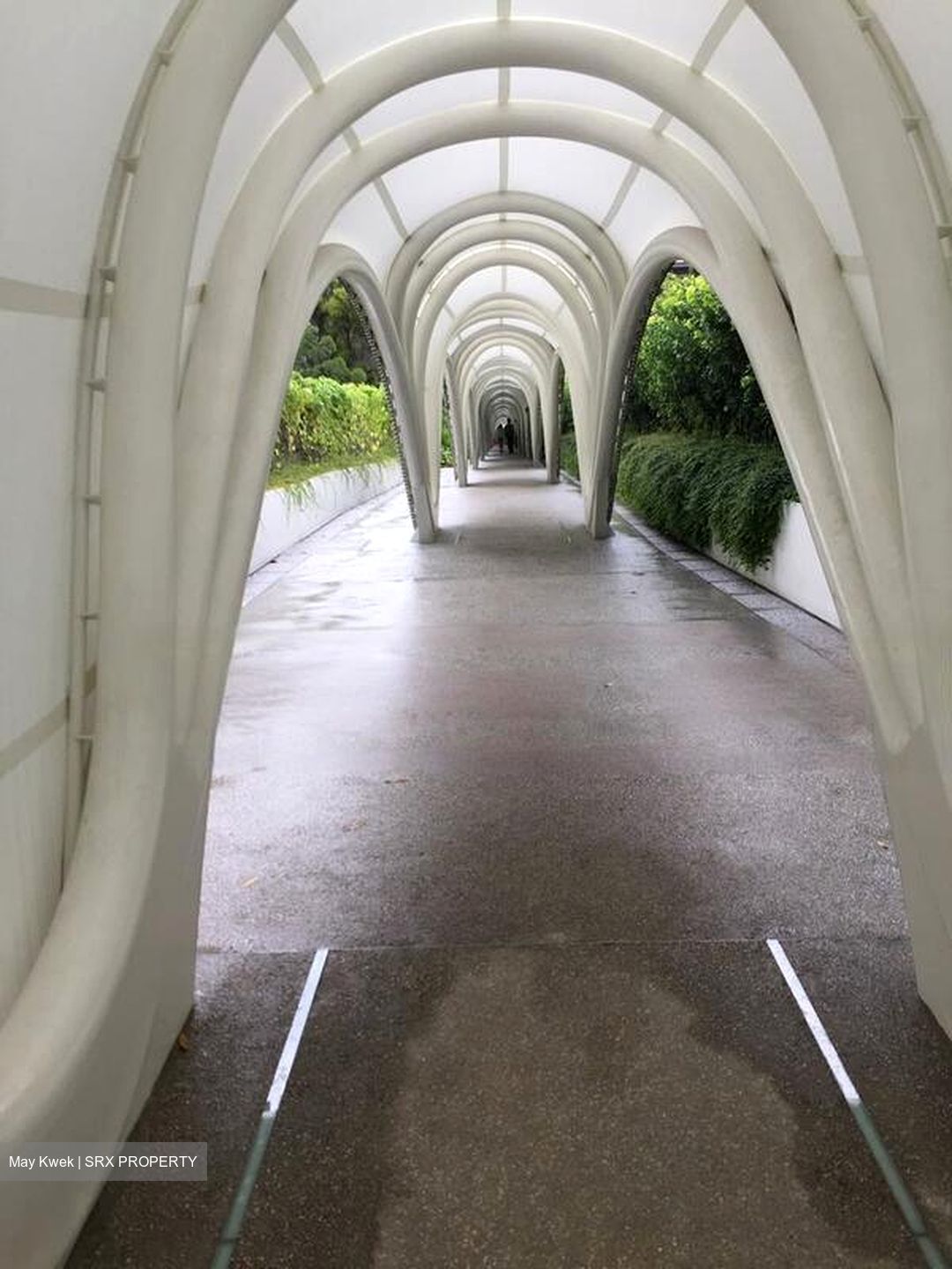 D'Leedon (D10), Condominium #485864641